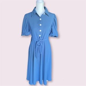 Blue Cottagecore Puff Sleeved Tea Dress, American size Medium✨
